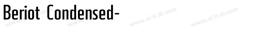 Beriot Condensed字体转换